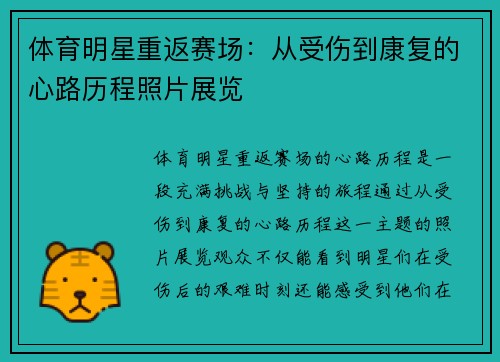 体育明星重返赛场：从受伤到康复的心路历程照片展览