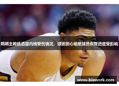 鹈鹕主教练透露内线受伤情况，球迷担心明星球员恢复进度受影响